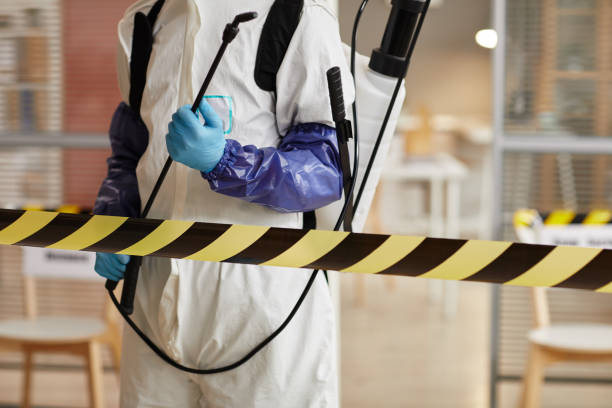 Professional Sewage Cleanup technician working in Findlay, OH